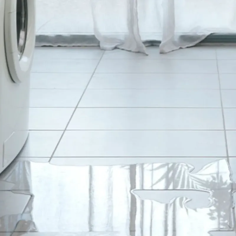 Appliance Leak Cleanup in North Hartsville, SC