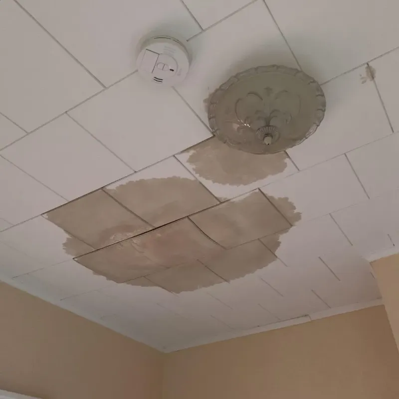 Ceiling Water Damage Repair in North Hartsville, SC