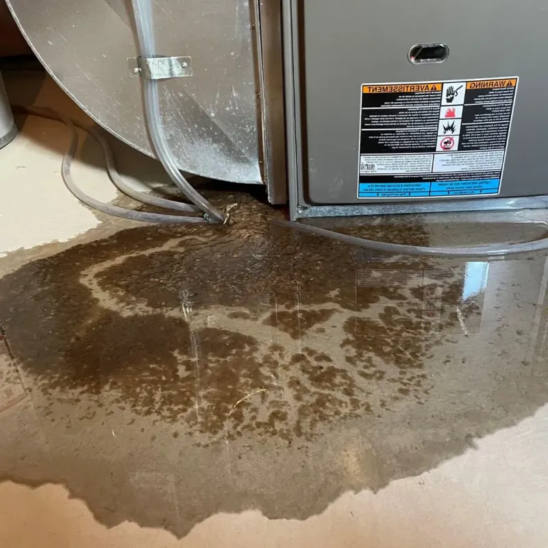 Pipe Burst and Leak Restoration in North Hartsville, SC
