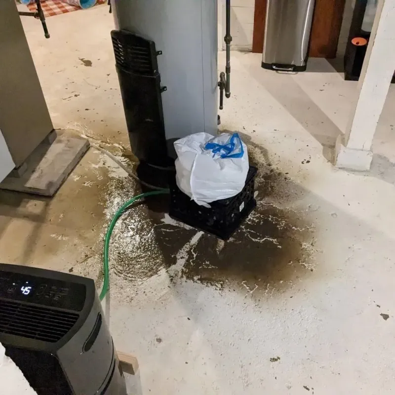 Sewage Backup Cleanup Service in North Hartsville, SC